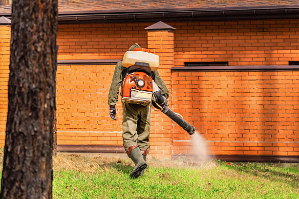 Trusted Mosquito Control service in East Foothills, CA - Nex Pest Control